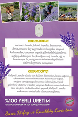 Pet Köpük Şampuanı (Aloe Vera, Gül, Papatya) Durulanmayan Susuz Fırçalı